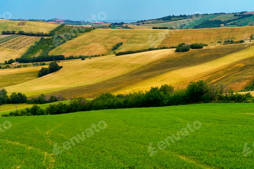 Preview: Rural landscape along the road from Fano to Mondavio, Marche