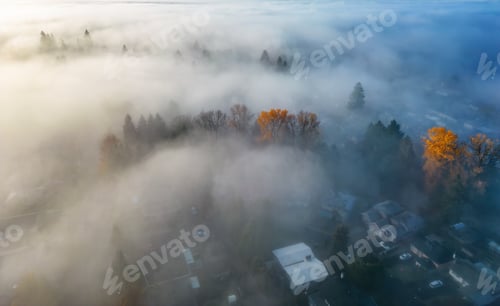 Preview: Neighborhood streets and homes covered in fog.