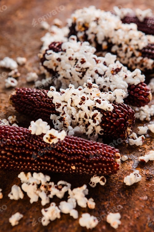 Preview: Popcorn cobs flat lay. Colored corn cobs. Organic farm bio vegetables. Autumn harvest