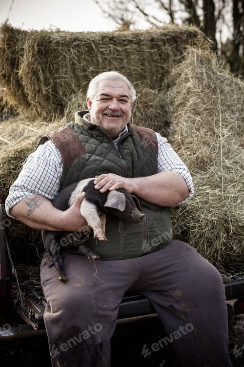 Preview: A large man, farmer in a waistcoat and working clothes, holding a piglet and smiling