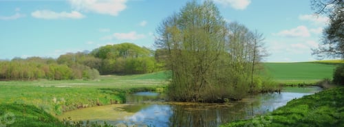 Preview: Natures beauty