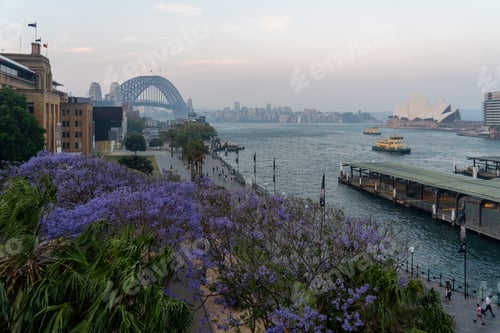 Preview: View of Sydney Harbour Bridge