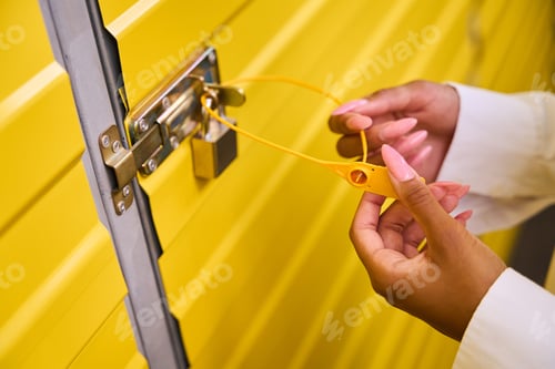 Preview: African American female touches a sealed lock