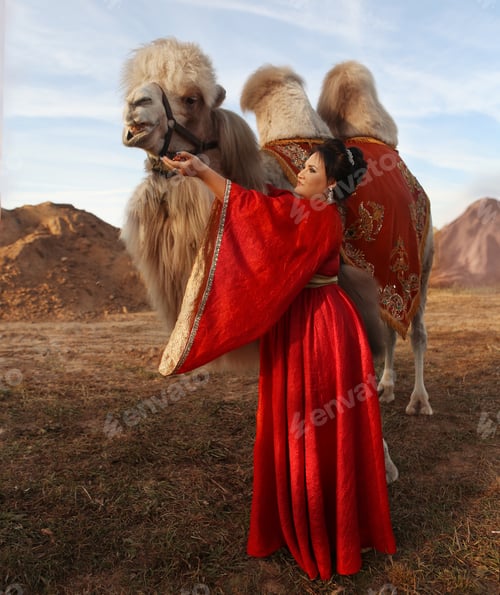 Preview: a girl in a red dress and a camel and mountains in the background