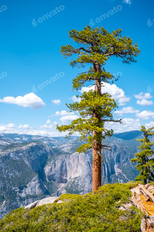 Preview: Upper Yosemite Fall from Sentinel Dome, Yosemite National Park. United States