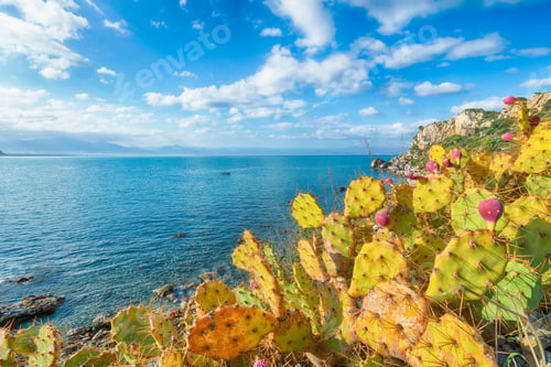 Preview: Stunning spring view on the the cape Milazzo panorama of nature reserve Piscina di Venere.