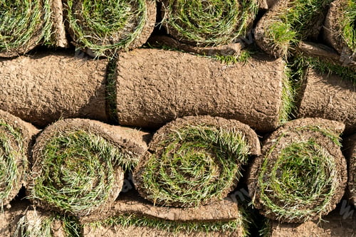 Preview: Stack of rolled lawns made of fresh green grass prepared for landscaping work in touristic city