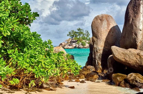 Preview: Beach with palm tree and rocks landscape