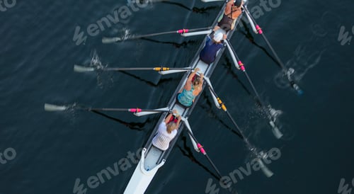 Preview: Female crew racers rowing, high angle view, Lake Union, Seattle, Washington, USA.