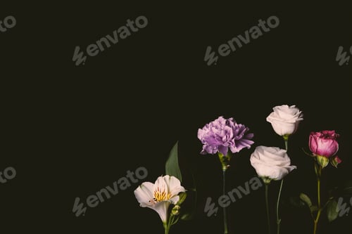 Preview: close-up view of beautiful floral composition with pink and purple flowers isolated on black