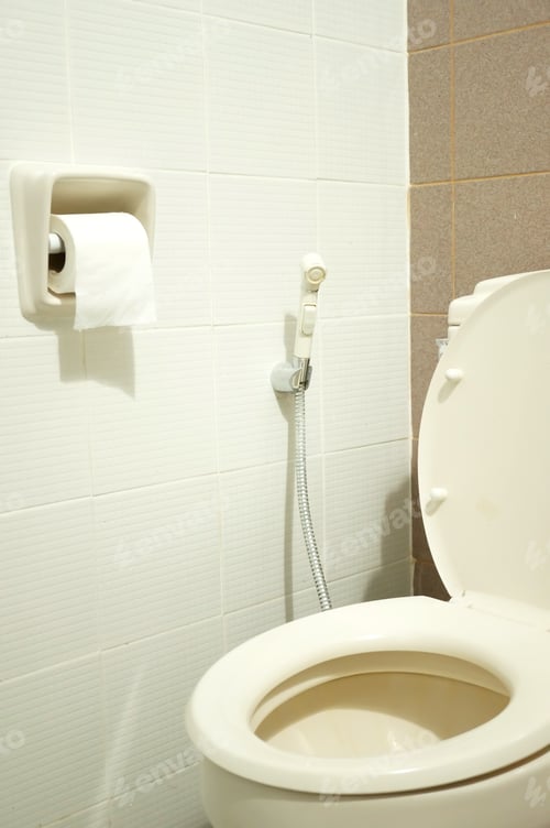 Preview: Home Toilet