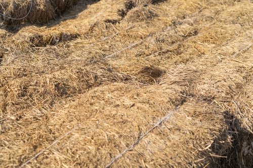 Preview: Pattern surface texture. Close-up of material for background