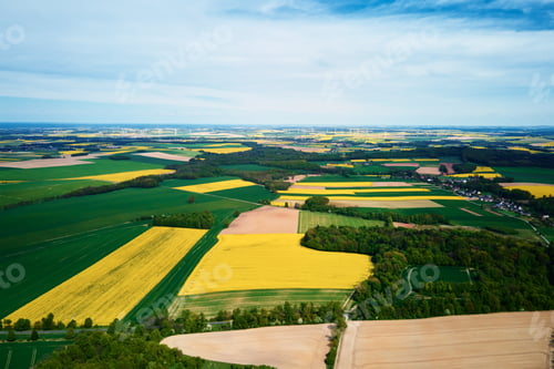 Preview: Aerial view of landscape with blooming rapeseed on agricultural fields