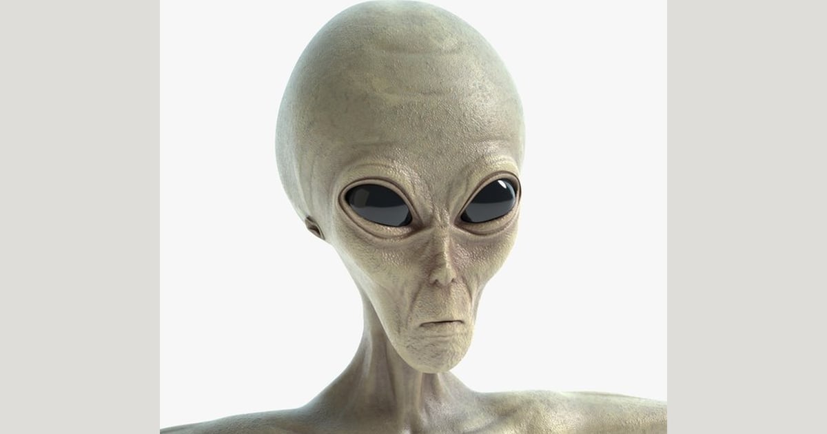 Zeta Reticuli Alien Being 3D, Incl. alien & creature - Envato