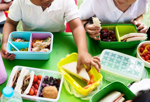Preview: Group of Kindergarten Students Eating Food Lunch Break Together