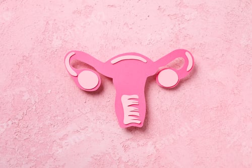 Preview: Women's health and women's healthcare concept with uterus