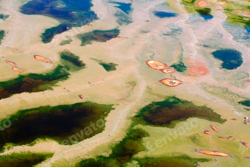 Preview: Leaves in flow of river with minerals