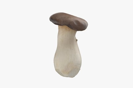 Preview: Pleurotus Eryngii Mushroom