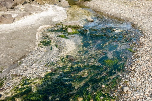 Preview: A View Of The Stream At Saltwater State Park In Des Moines, Washington.