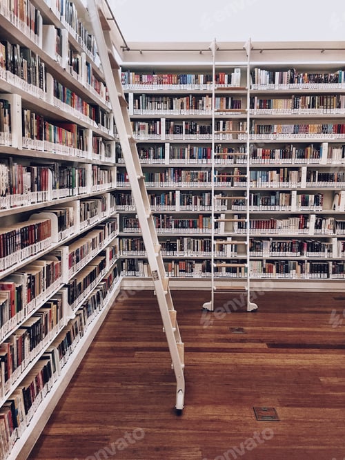 Preview: Shelves of books at the library