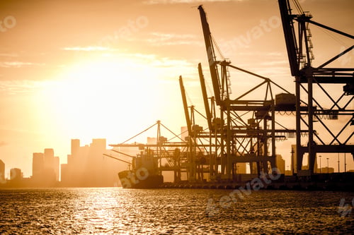 Preview: Boats In The Port Of Miami At Sunset