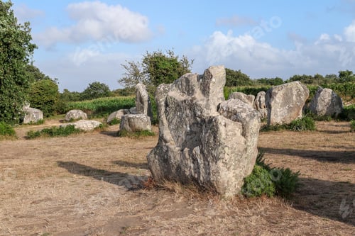 Preview: Alignment of Kerzerho - rows of menhirs in Brittany