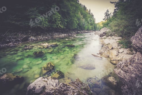 Preview: Mountain river in the green forest