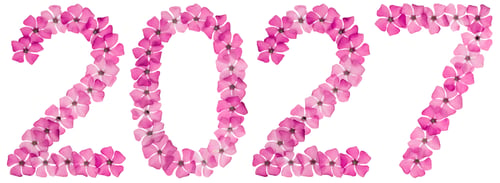 Preview: Inscription 2027, from natural pink flowers of periwinkle, isolated on white background