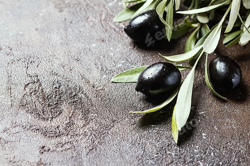 Preview: Olives on branch with leaves