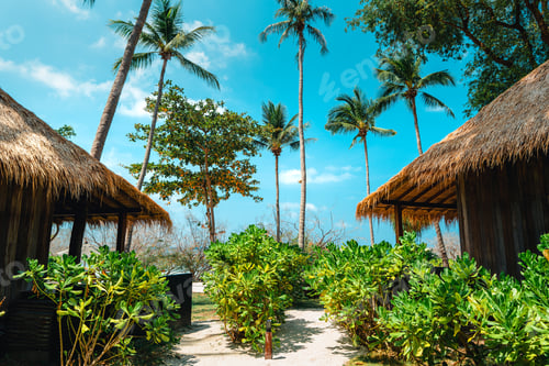 Preview: Tropical beach and coconut tree at koh tao