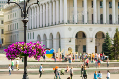 Preview: Beautiful purple flowers in flower pot on the street lamp post pole in the city