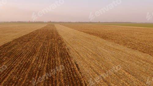 Preview: Aerial view of wheat field after harvesting.