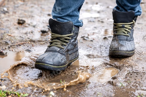 Preview: A man in jeans and boots walks through the swamp in rainy weather.