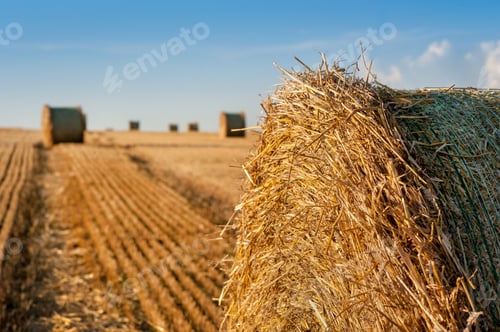 Preview: A large bale of straw on stubble in the foreground on a harvested field.