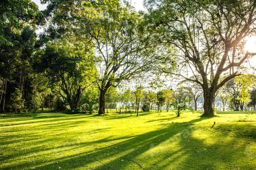 Visualização: Paisagens e safáris de viagem no Quênia Kericho Golf Field Country Club Quênia África Oriental