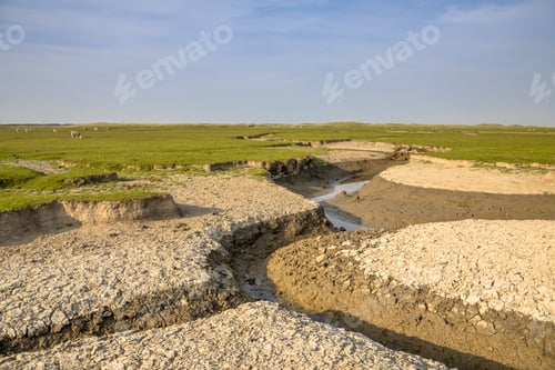 Preview: Tidal marshland Ameland