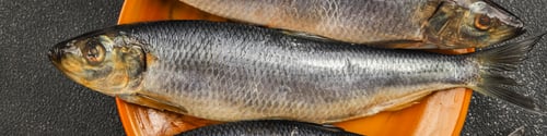 Preview: Herring fresh fish seafood pescetarianism tasty food dish fresh delicious gourmet food background