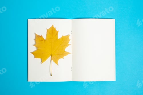 Preview: Top view of blank paper book with dry autumn leaf on the page.
