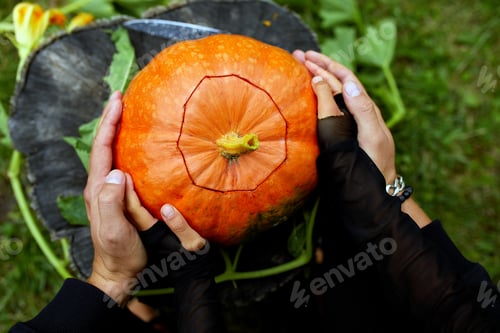 Preview: Daughter and father hands hold pumpkin for Halloween, Prepares Jack o'Lantern