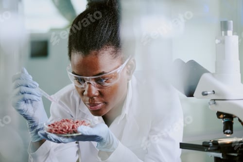 Preview: Researching Tissue Samples in Modern Laboratory Setting