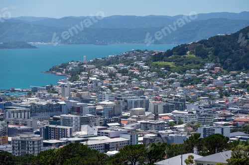 Preview: The view of Wellington city in New Zealand
