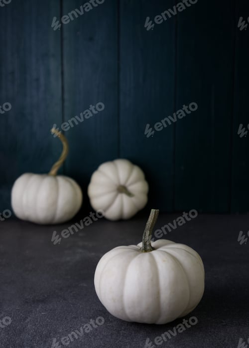Preview: Close-up cute white pumpkins on a dark background near wooden wall