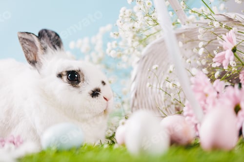 Preview: Rabbit and Easter decorations on spring background.