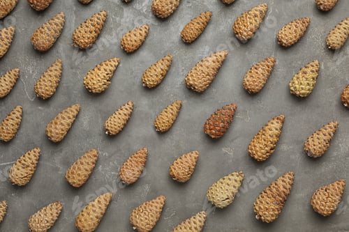 Preview: Flat lay composition with pinecones on grey background
