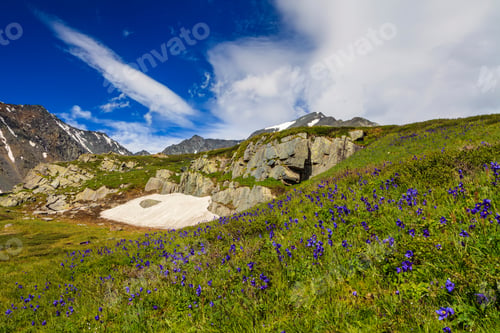 Preview: Beautiful mountain landscape with flowers and blue sky