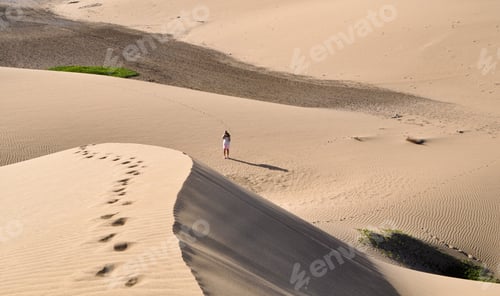 Preview: Minimalistic photo of a person standing in a big desert