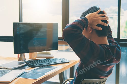 Preview: Professional Development programmer working in programming website a software and coding technology