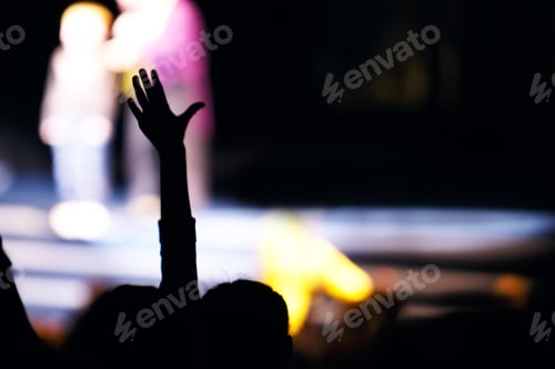 Preview: Supporter in the audience raising a hand