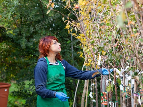Preview: Young florist with red hair works in a nursery.