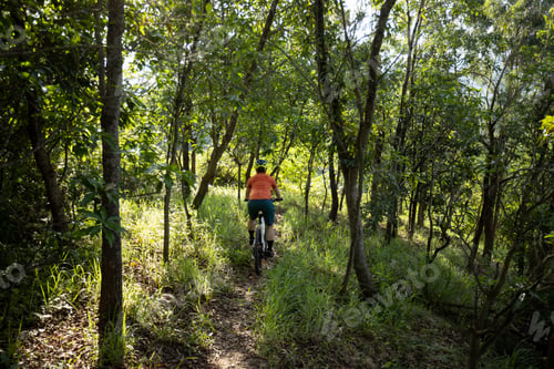 Preview: Mountain biking in summer forest